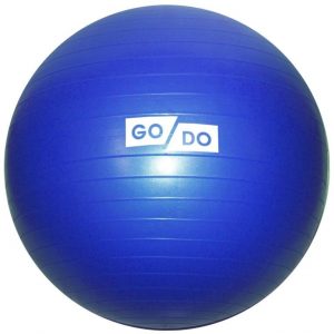 Мяч гимнастический Go Do 55см FB-55